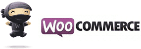 agence de referencement WooCommerce