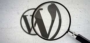 agence seo pour wordpress