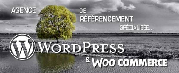 agence référencement wordpress